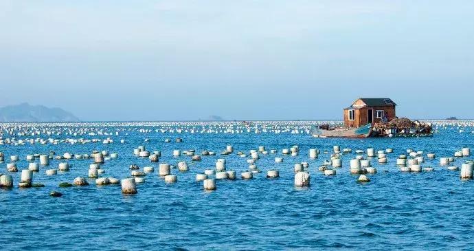 去苏马湾怎么去,连云港苏马湾旅游攻略