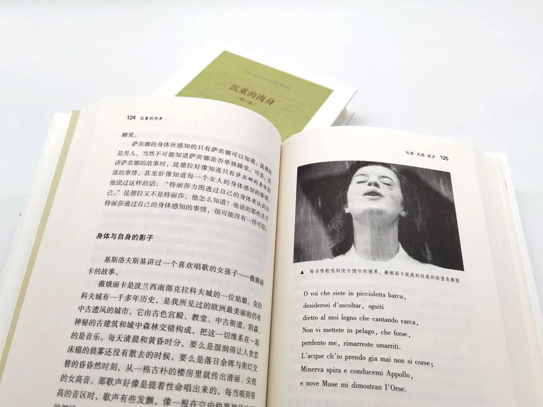 书讯|《沉重的肉身》