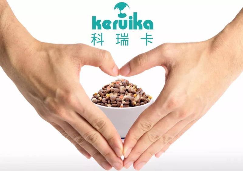 猫咪白天在家做什么,猫咪白天上班怎么样养