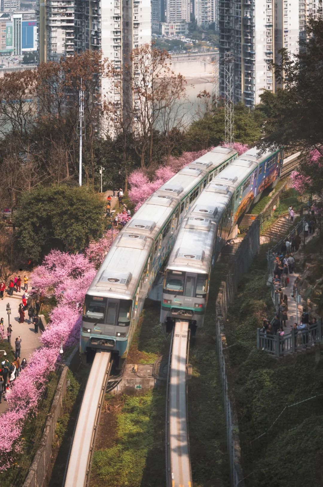 大片来袭震撼人心,成渝双城记全景图