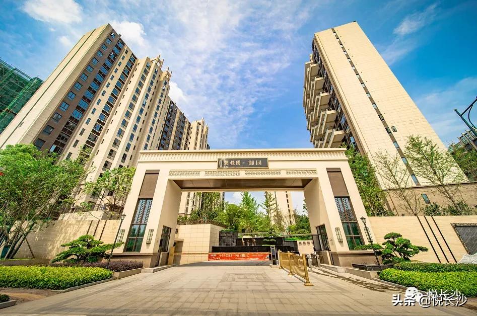 坚挺！高铁西限价首次破万！7字头现房大平层，踩在风口上