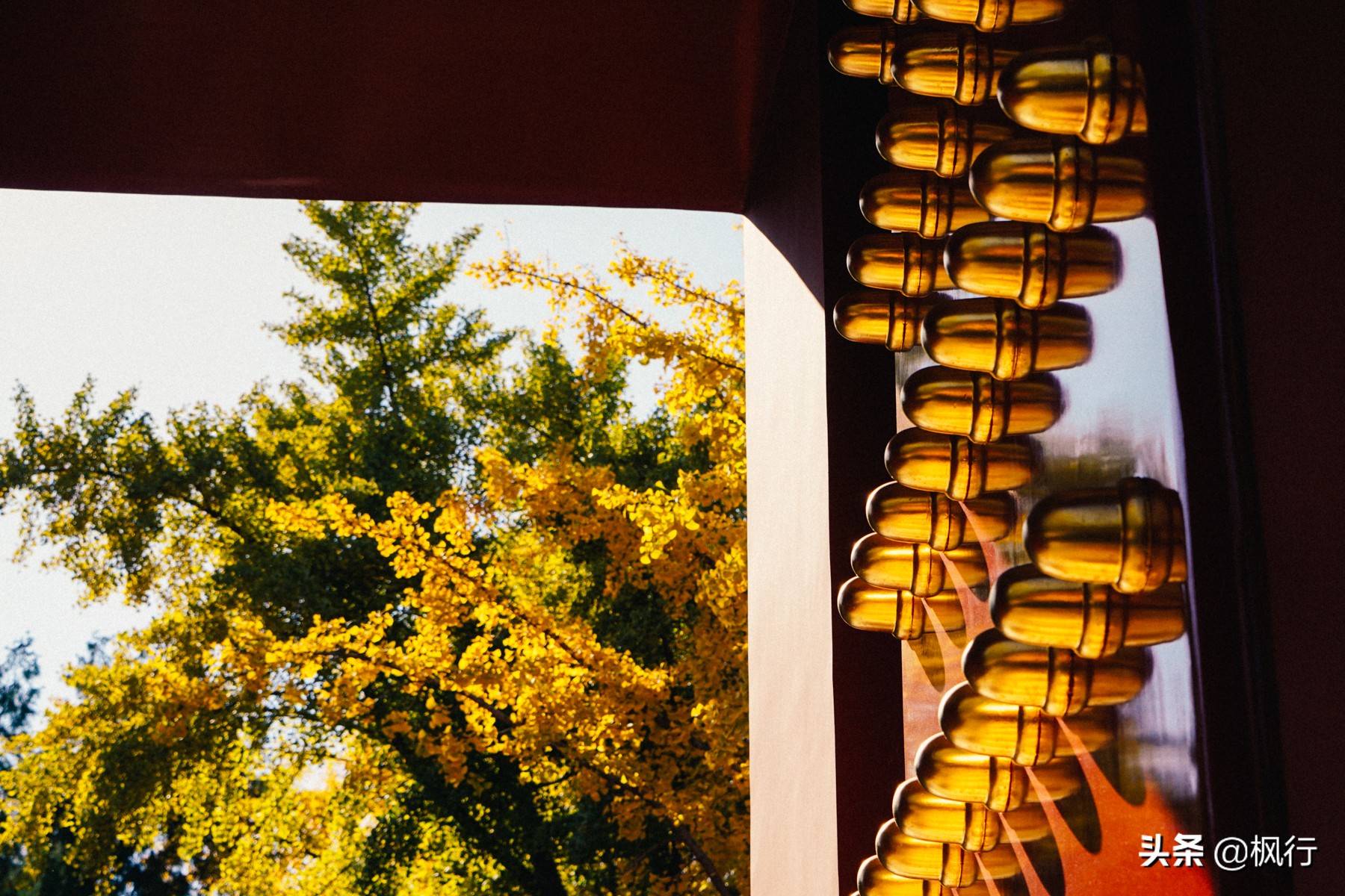 北京18个看银杏的好地方在哪,北京八大处看银杏攻略