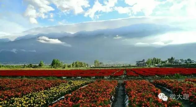 在大理定居修行,在大理定居攻略