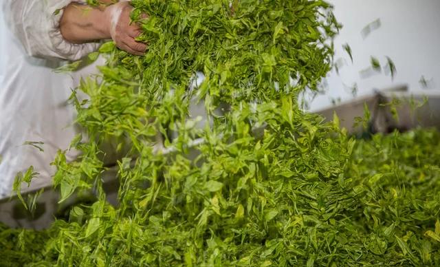 溧阳市枫香小筑民宿,溧阳天目湖最好的民宿