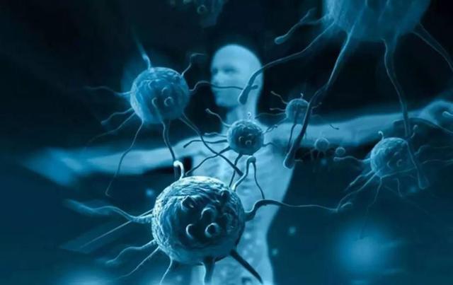 把癌细胞打入健康人体内得癌症吗,把癌细胞注入人体会传染吗