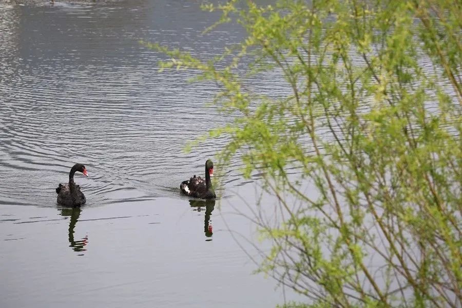 玩转十一长假之石泉古街,10.1石泉县旅游景点一日游攻略