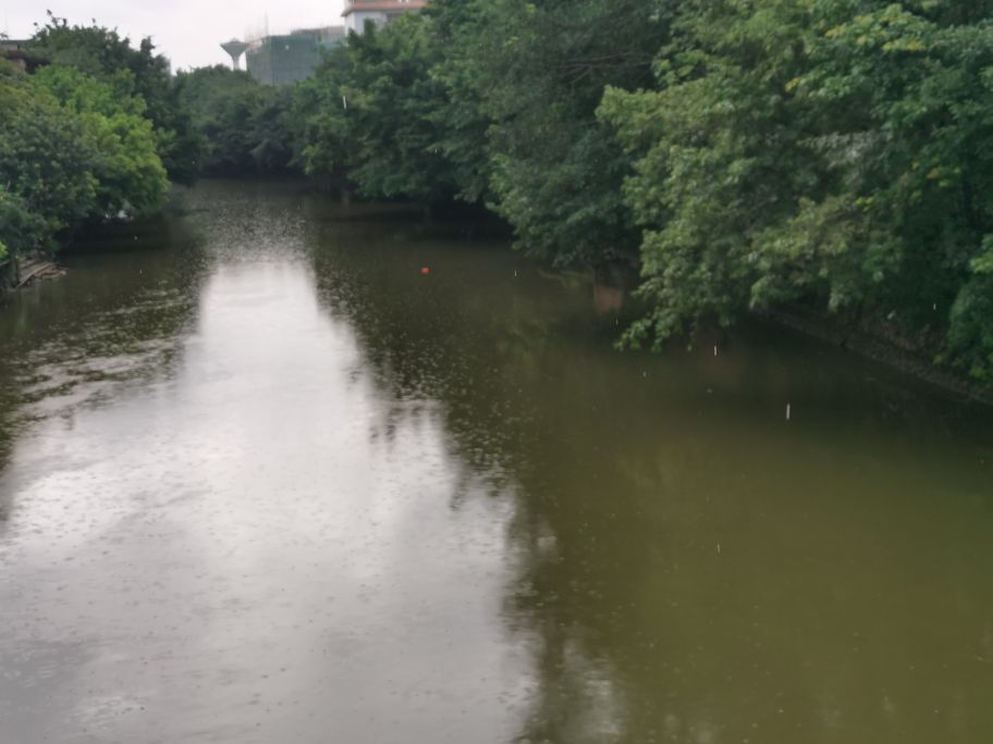 端午节带妹妹去游龙舟水,龙舟水的端午记忆