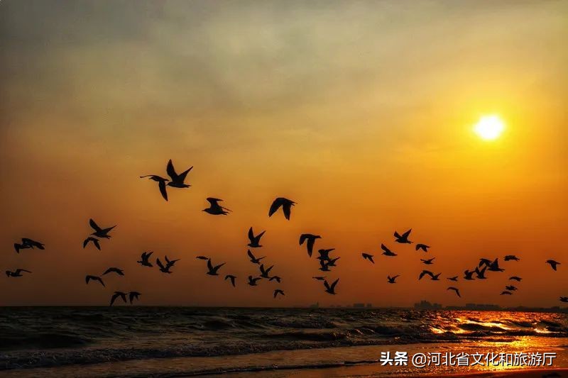 留在秦皇岛,秦皇岛为什么人那么多