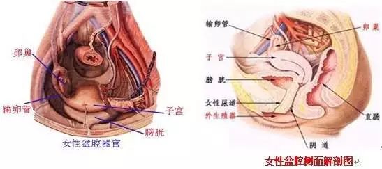 冬天来了身上总是冰凉的,冬天来了手脚冰凉的季节