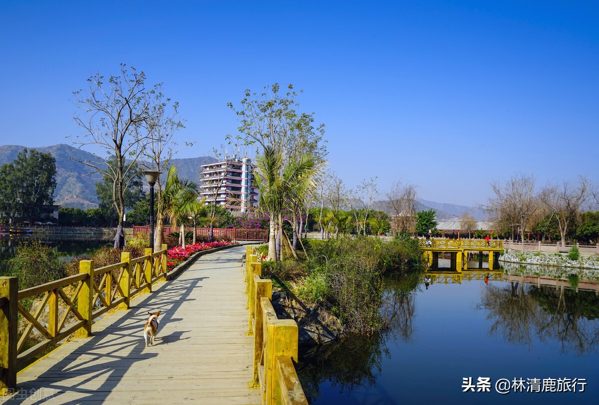 攀枝花旅游养老攻略,攀枝花养老旅游居住