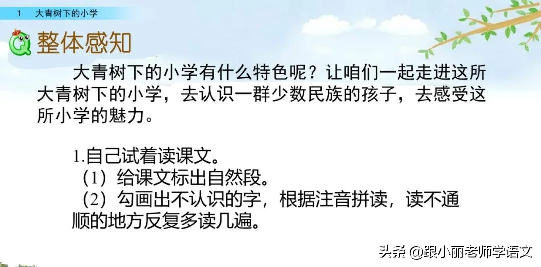 大青树下的小学必会知识点,大青树下的小学必考知识点