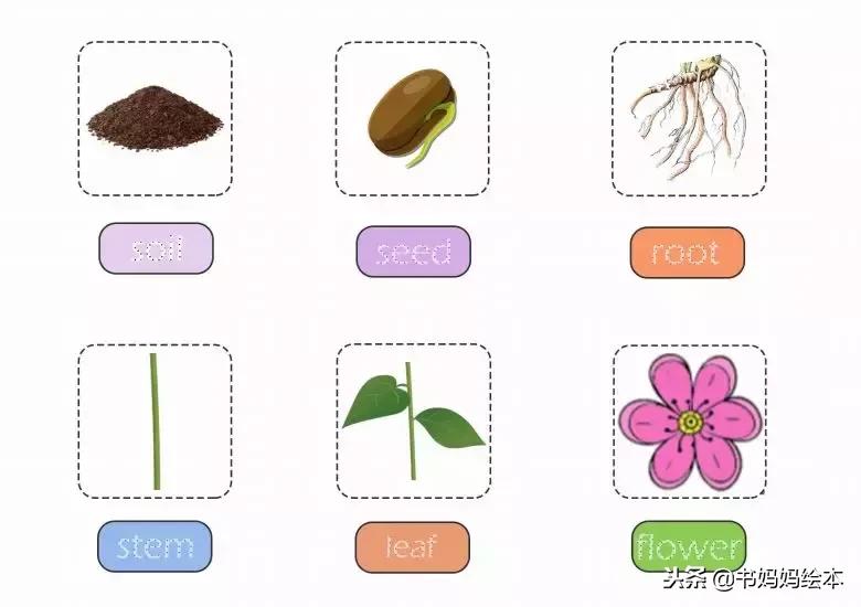 英文绘本好处,英文绘本书怎么做