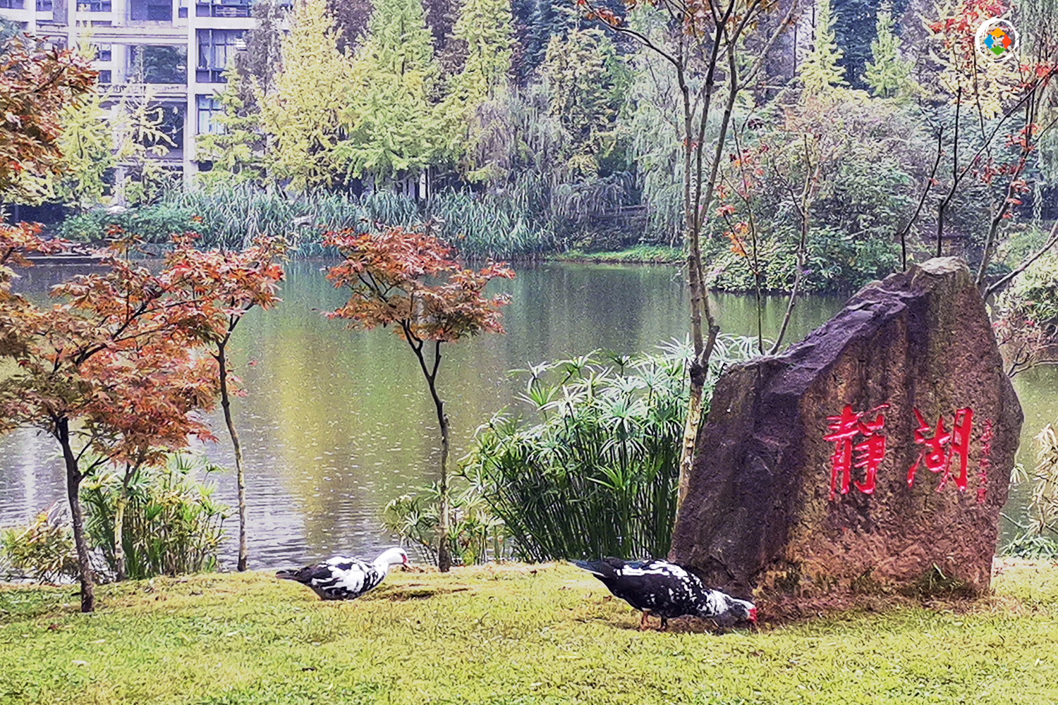 重庆大学城哪个大学风景好,重庆大学哪个区最好玩