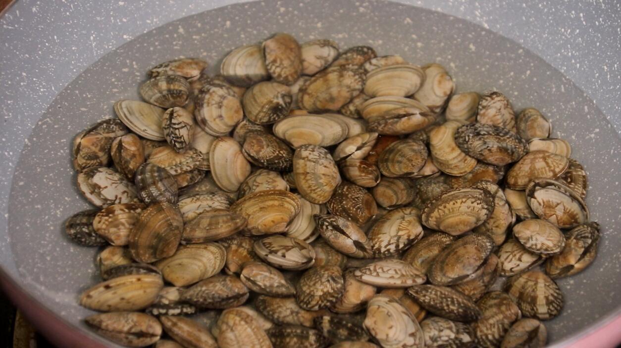 洗花蛤时别再用盐水泡了,花蛤温水去沙如何处理