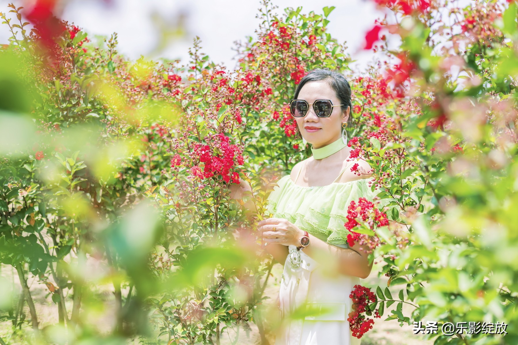 二十年相聚完整版,二十年再聚首