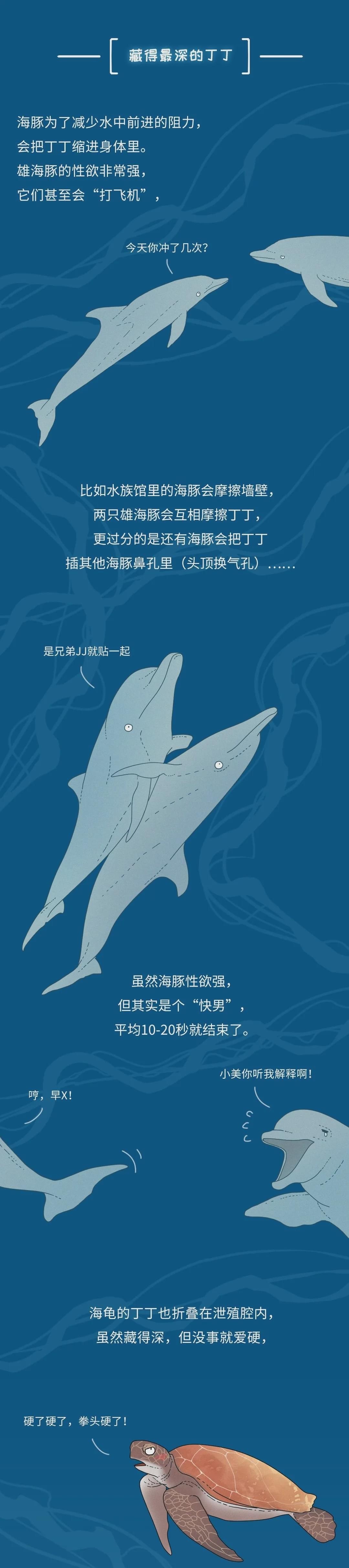 为什么同样是丁丁，差距却这么大？34cm竟然排垫底