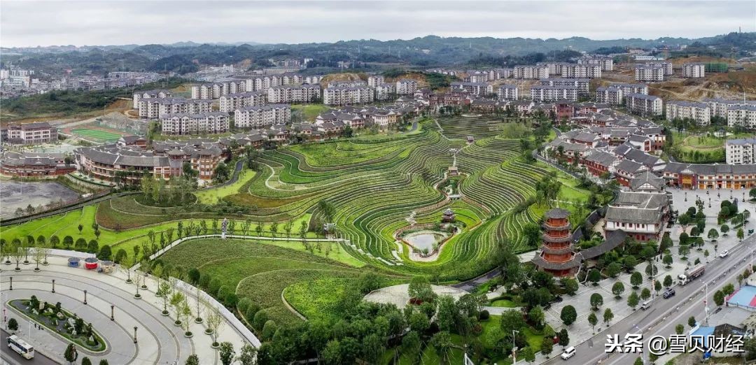 许家印返回故里,许家印老谋深算