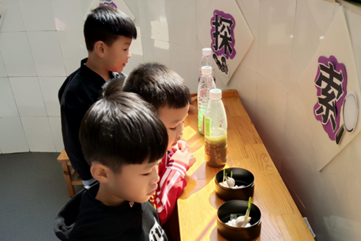 幼儿园科学探索培训活动简报,幼儿园科技节教研活动