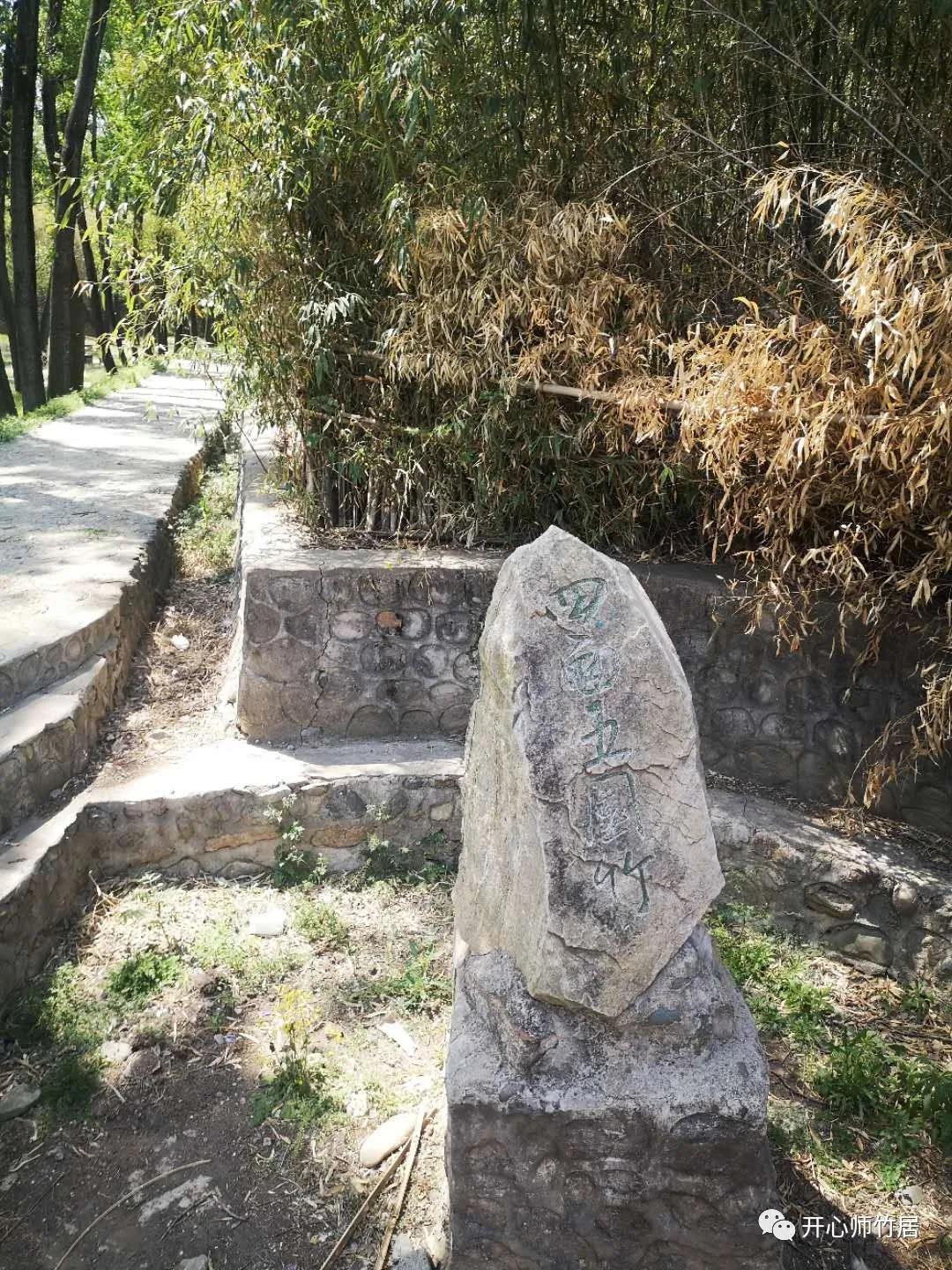 洛宁竹林一日游,竹林七贤魏晋风流全集