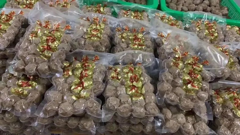 正宗潮汕手打牛肉丸50年老店,新人首播正宗潮汕手打牛肉丸