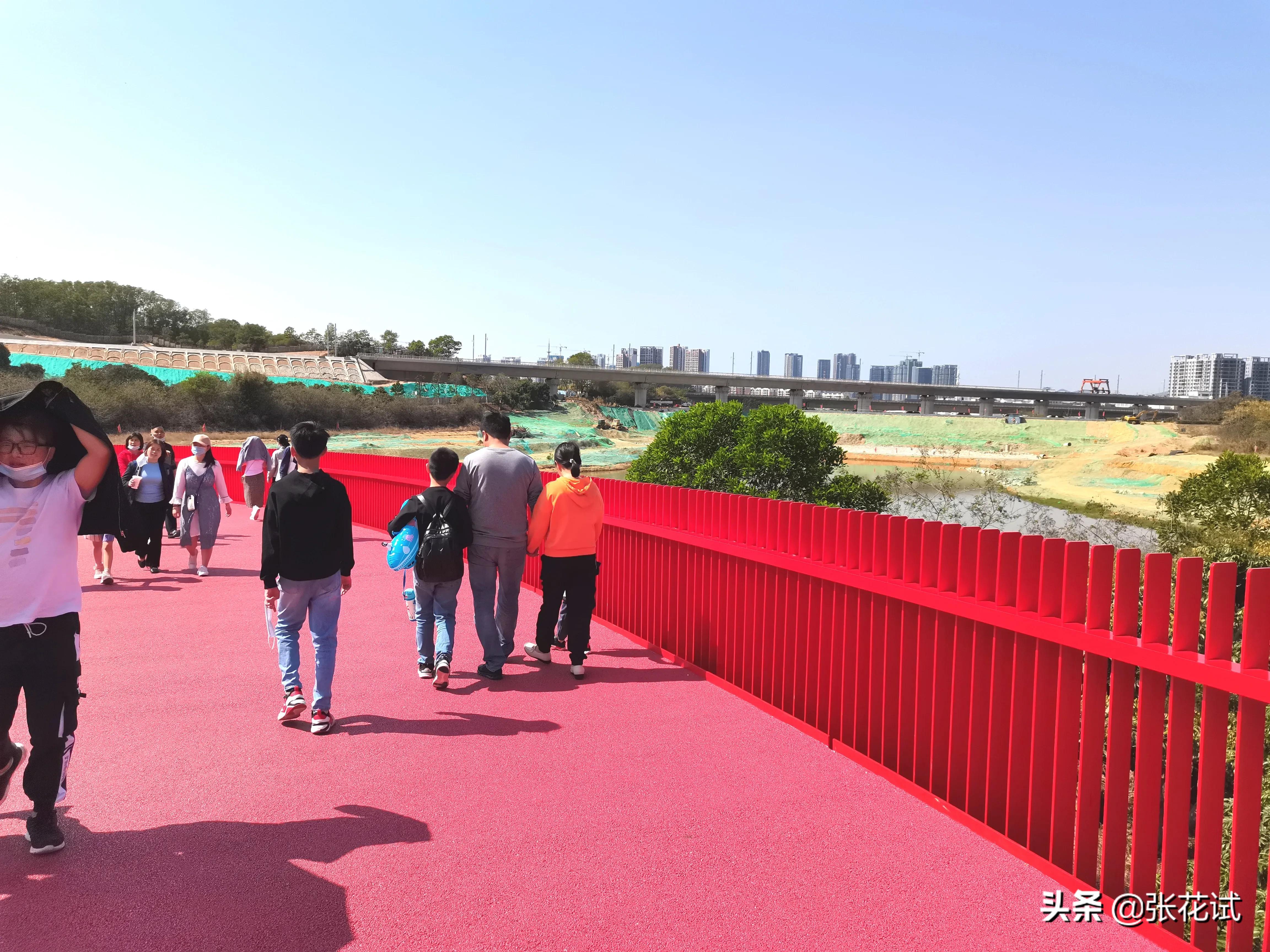 新春踏上深圳光明“虹”地毯，牛年红红火火