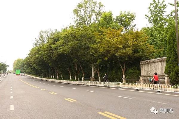 南京相隔百年的照片,南京城景对比图