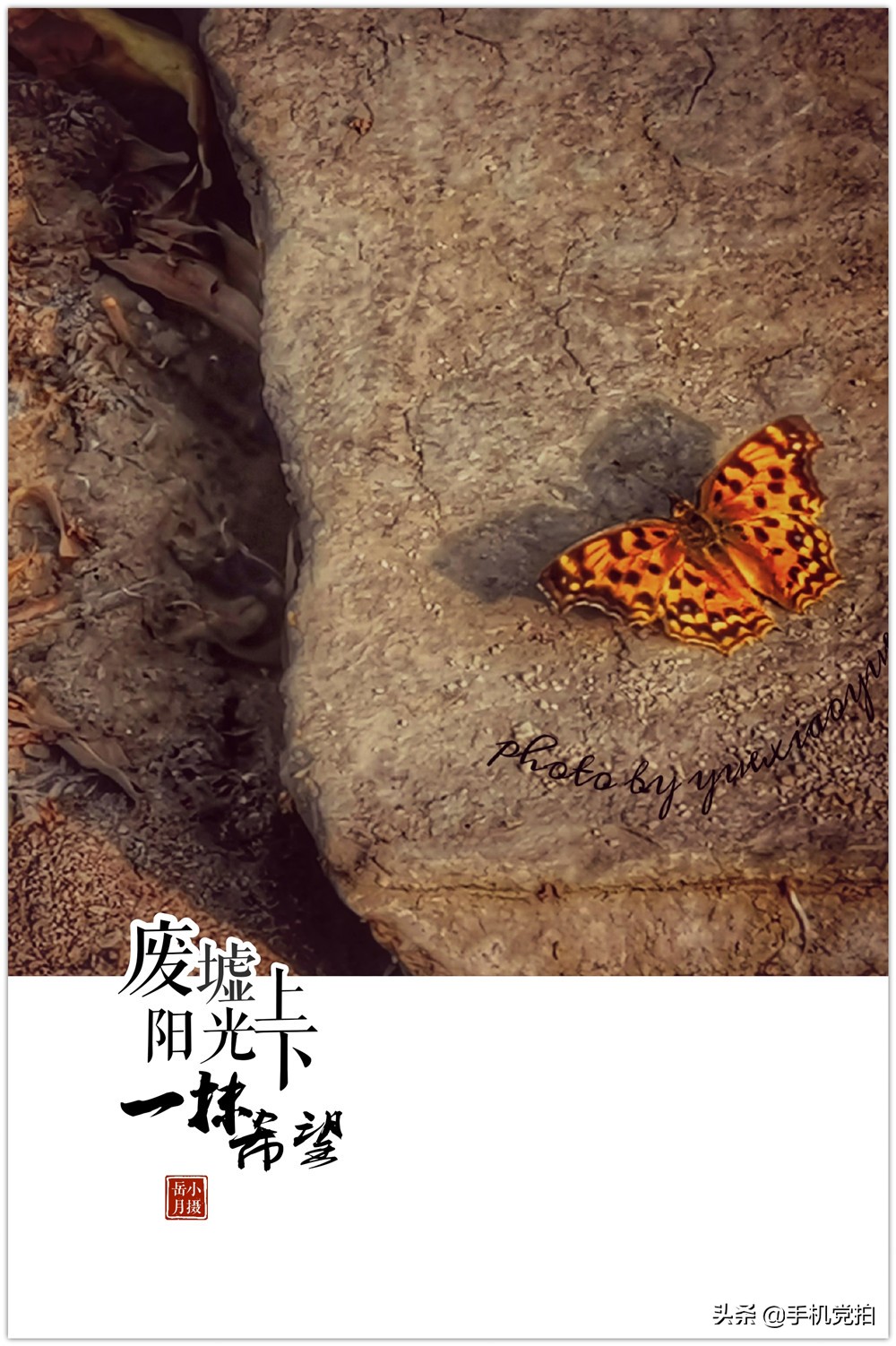 怎样给照片弄上水印,苹果手机怎么给照片添加时间水印