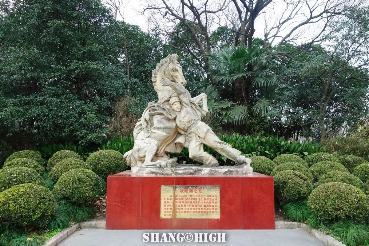 记者探访广州动物园,动物园观察动物