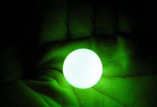 龟壳里面有几个夜明珠,龟壳里面真的有夜明珠