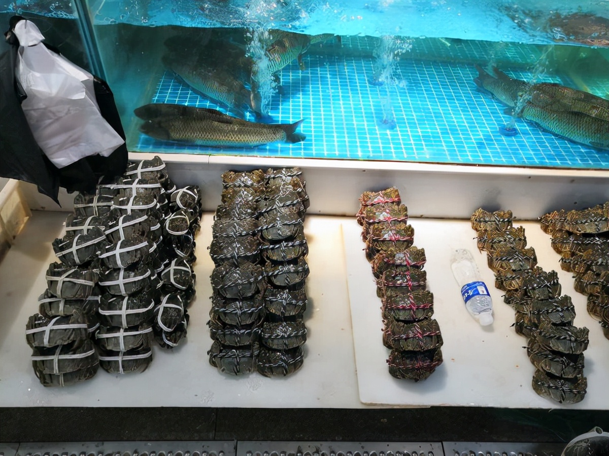 湖蟹价格高出塘蟹,成熟蟹为啥便宜