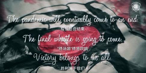 中超联赛申花与国安,中超双雄对国安