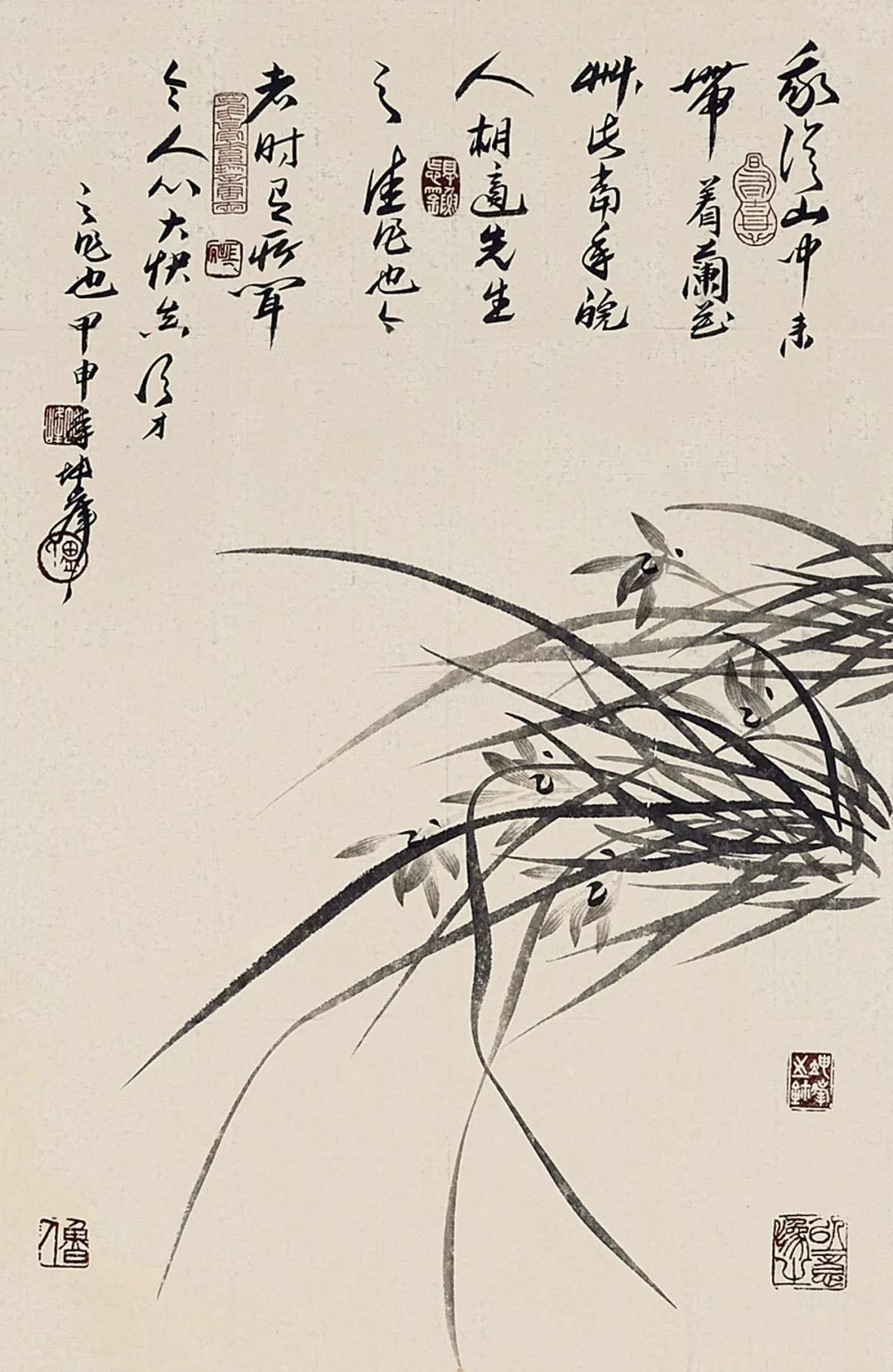 如何画兰花图片大全大图,怎么样画兰花才能好看