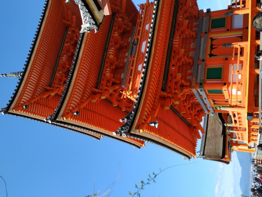 3月底日本关西8日游攻略,日本关西旅游攻略七日游