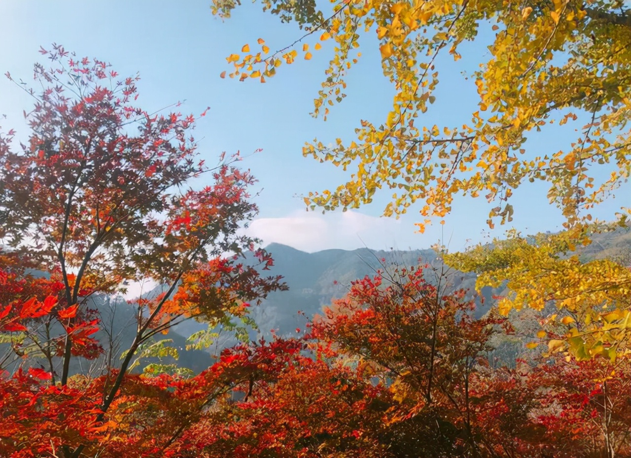 宁波免费小众点的帐篷烧烤好去处,宁波露营过夜的好地方
