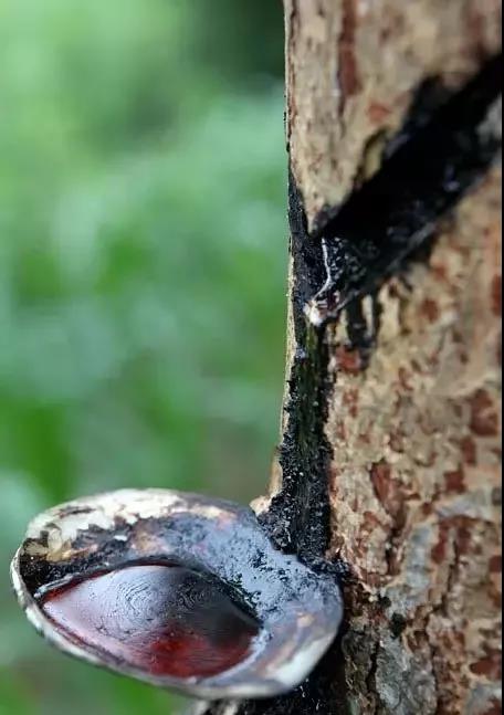 大漆加桐油怎么做面漆干的快又亮,桐油和水性清漆