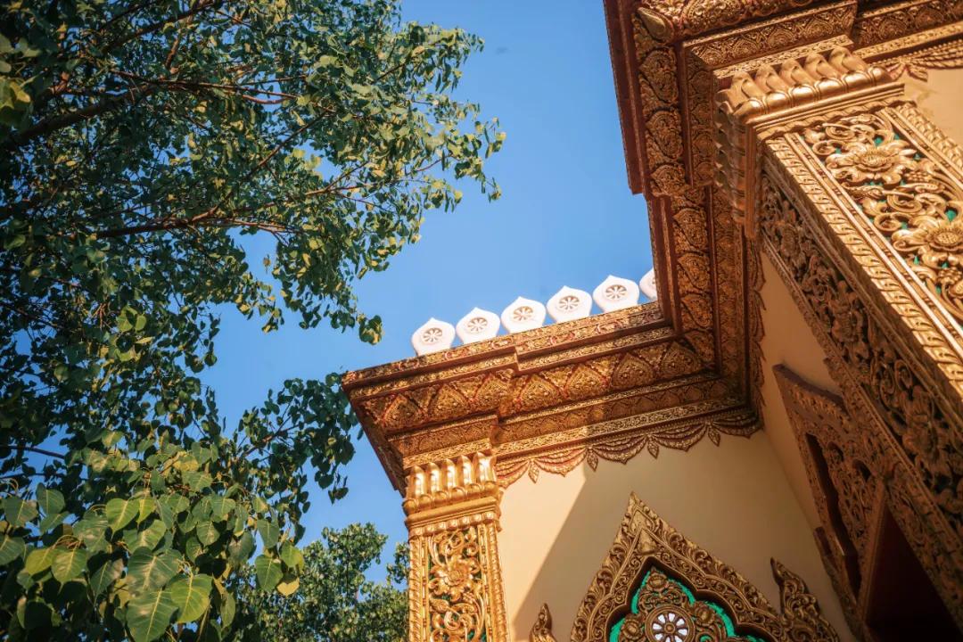 西双版纳蓝孔雀江景主题酒店,西双版纳告庄双景酒店攻略