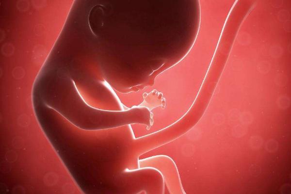 孕妇睡觉时胎儿的姿势,当孕妇睡觉时胎儿在干嘛