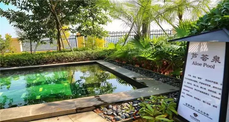 清远夏季温泉有哪些景点,清远最浪漫最漂亮的温泉