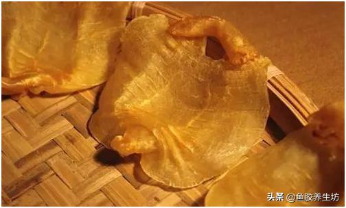 鱼胶知识书籍,鱼胶的知识抖音视频