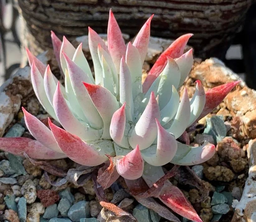 禁足的日子收获颇多,禁足