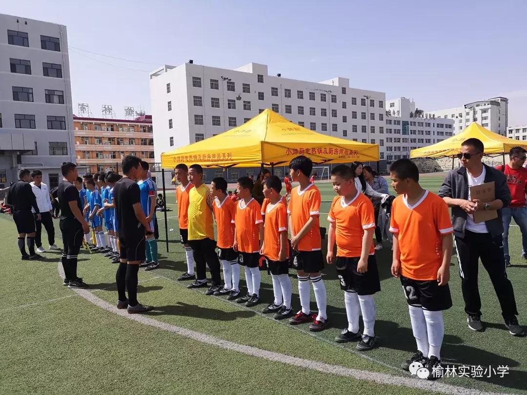 阳光少年展自我风采演讲,阳光少年展示