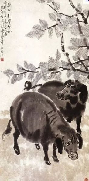 欣赏猪币，美美猪年！