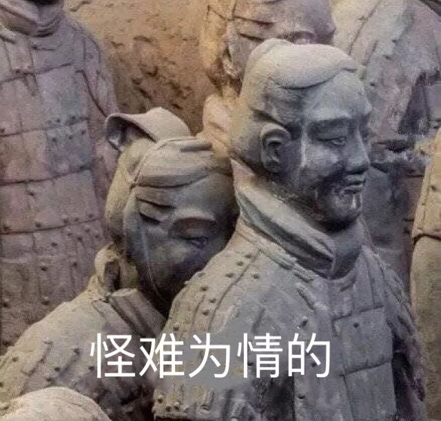 网红协和维e乳,维e乳和精心硅霜哪个好用