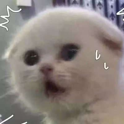 护肤品牌死对头,护肤品的十大误区