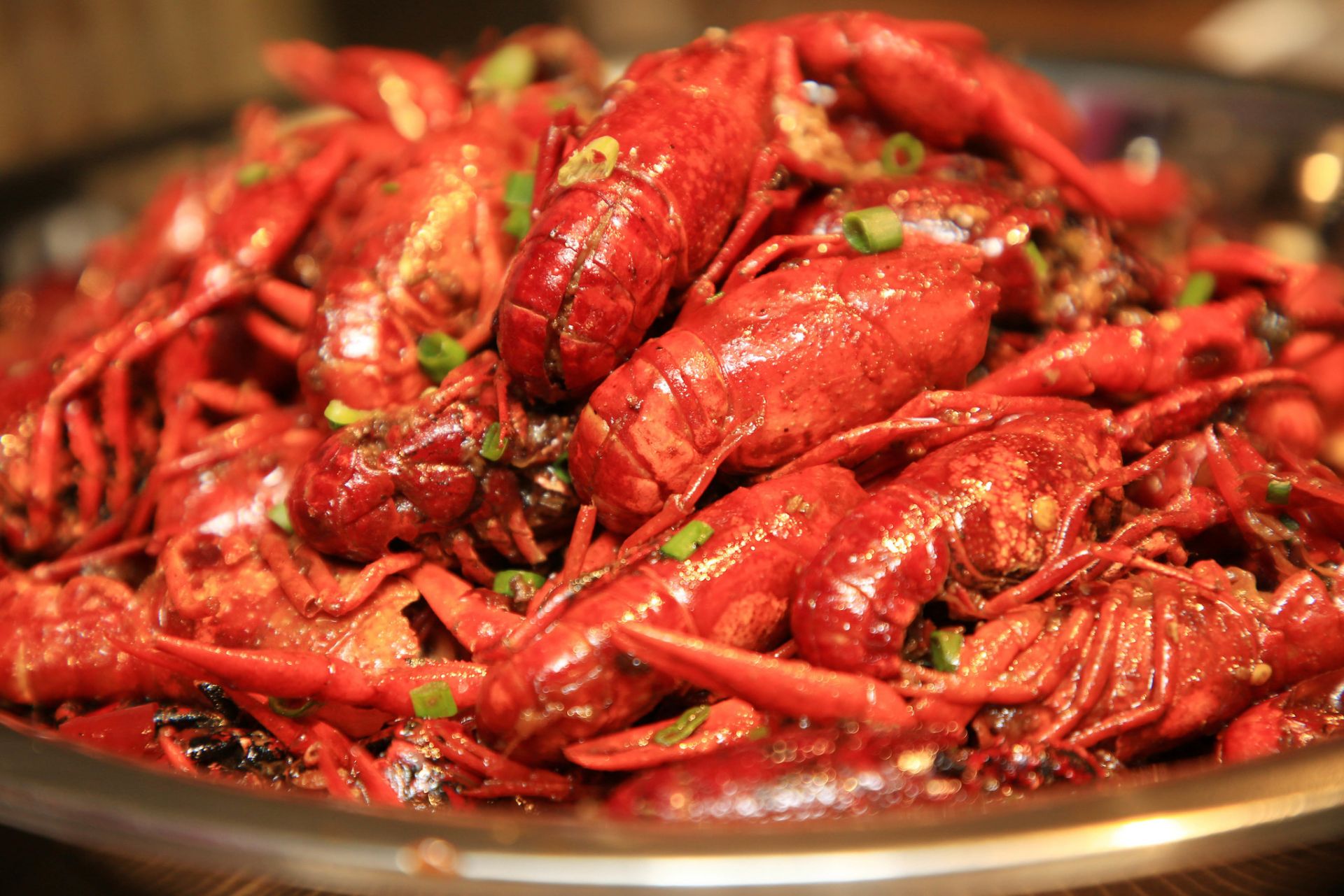 海底400度火山口的虾上岸,生活在海底温度最高的虾