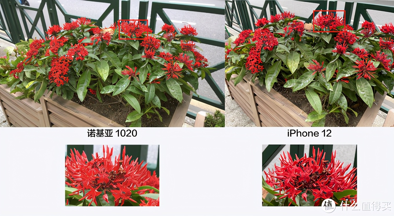 诺基亚1020拍照对比iphone12,诺基亚1020和苹果11拍视频