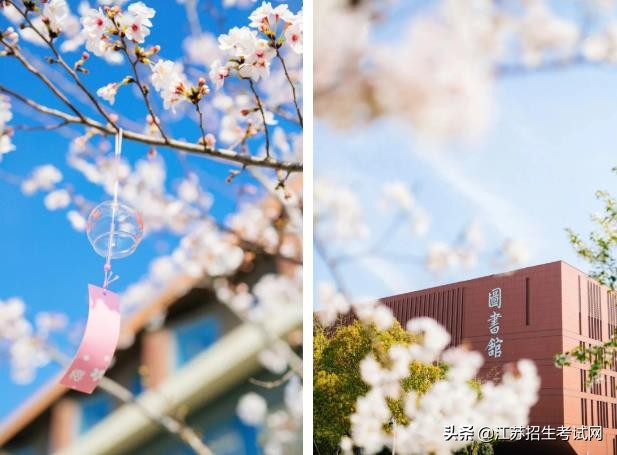 泰州职业技术学院资料,泰州职业学院有什么