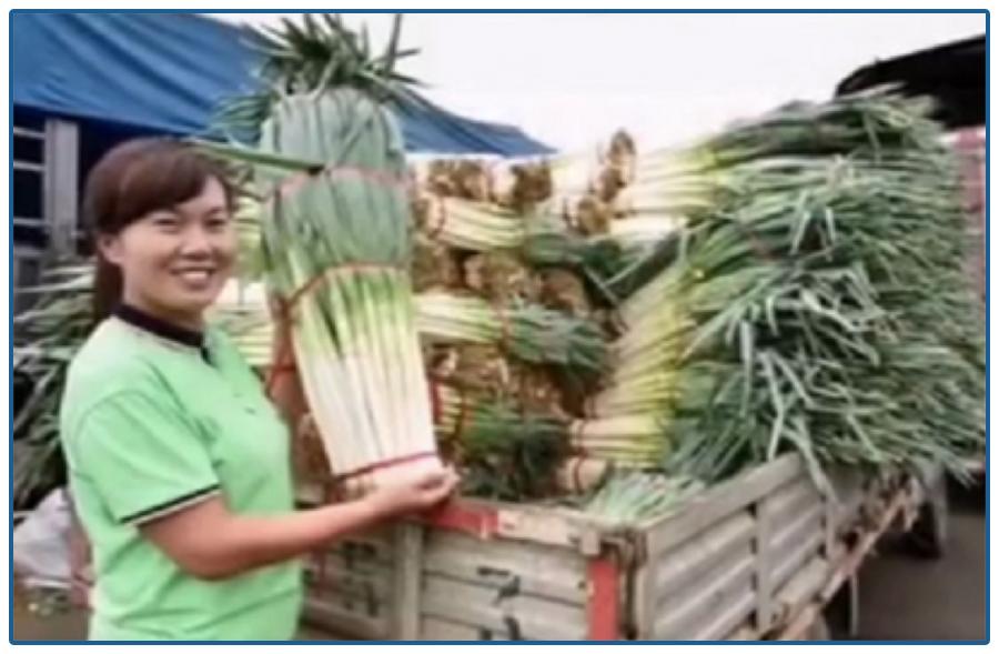 中国隐藏富豪第一名,中国十大隐形万亿富豪图及资料