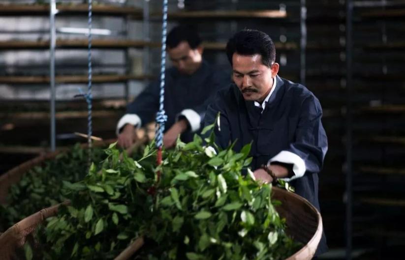 秋茶优点,春水秋香和春茶秋茶的区别