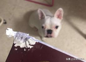 护照失效了在国外还能正常使用吗,华人出入境需警惕